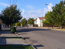 Calle de la ciudad de Gral. Pico, en La Pampa, con casas y árboles