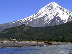 LagoTromen, en cuya costa hay caballos, y detrás el Volcán Lanín cubierto de nieve