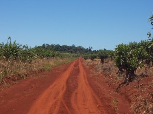 Camino de tierra roja en Misiones