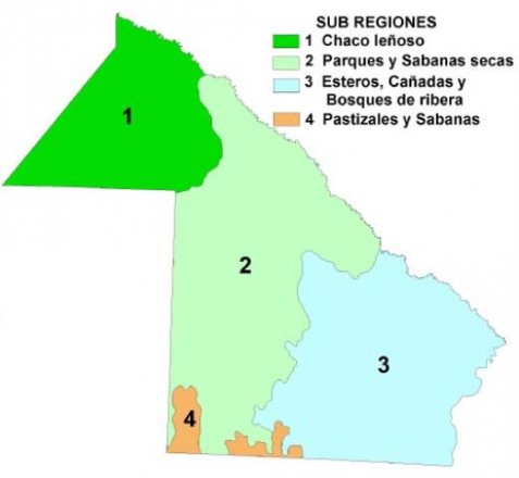Mapa de subregiones del Chaco