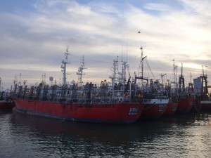 Pesqueros, Puerto de Mar del Plata