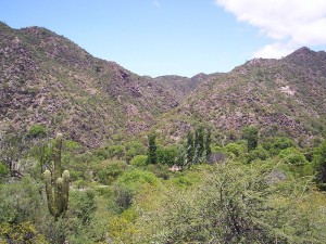 Vista de valle y sierras de Valle Fértil, se ven cactáceas y vegetales de suelo árido; detrás, cerros pedregosos