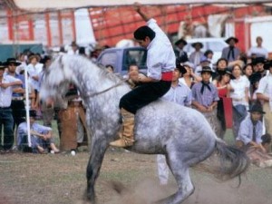 Jinete exhibe sus habilitades sobre un caballo que corcovea