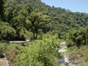 Camino para vehículos junto a un arroyo en la selva de las Yungas