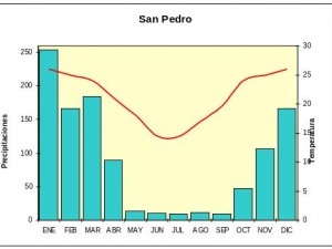 Climograma (variación anual de temperatura y precipitaciones) de San Pedro, Jujuy